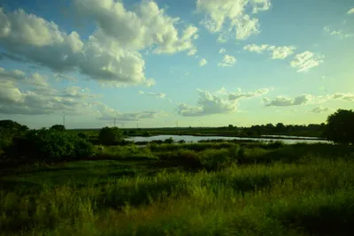 DSC_7828 (Large).JPG